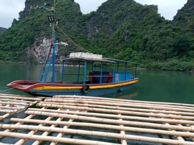 Tour Cau Muc Dem Ha Long 5