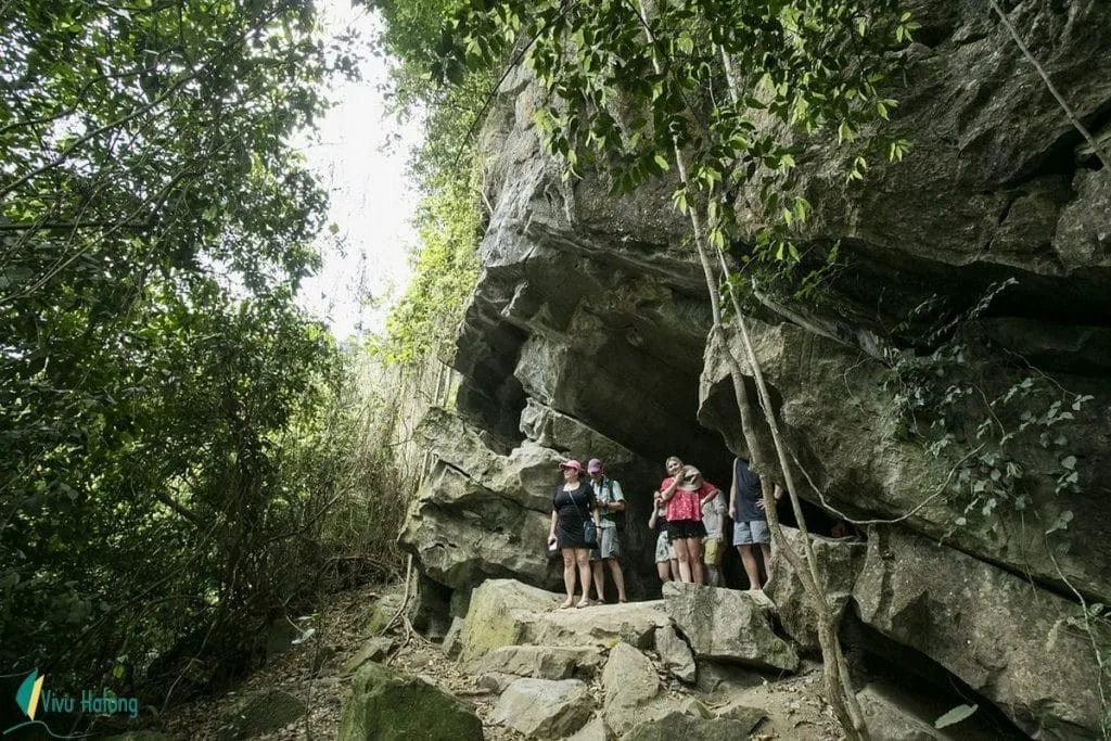 Tour Du Thuyen Lan Ha 2 Ngay 1 Dem 5