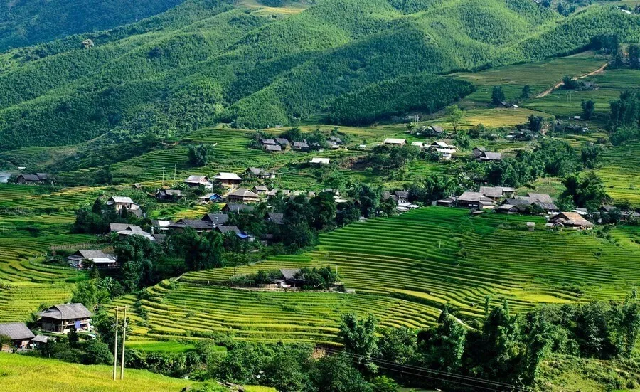 Trek Y Linh Ho 3