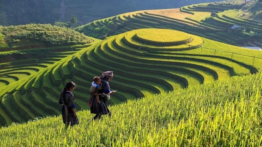 Summer Sapa 1