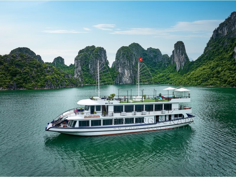 Du Thuyen Sonata Cruise (1)