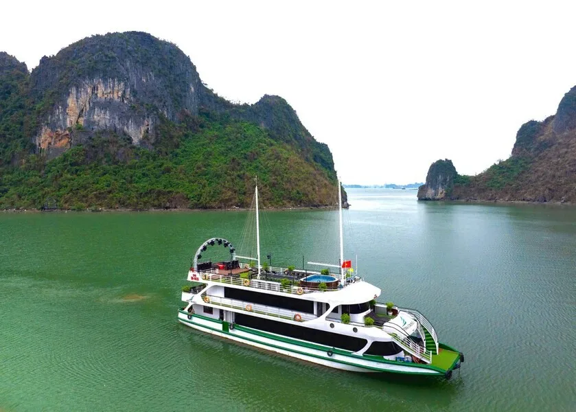 Vera Cruise