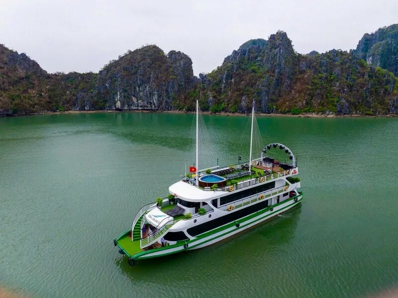 Vera Cruise