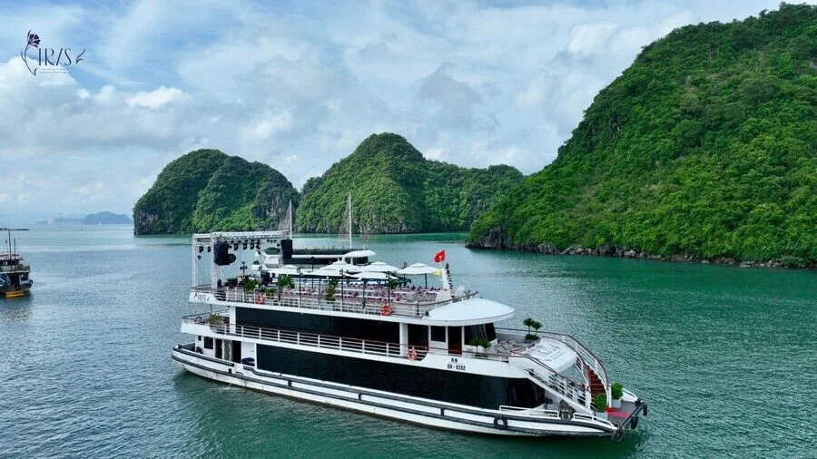 Iris Cruise
