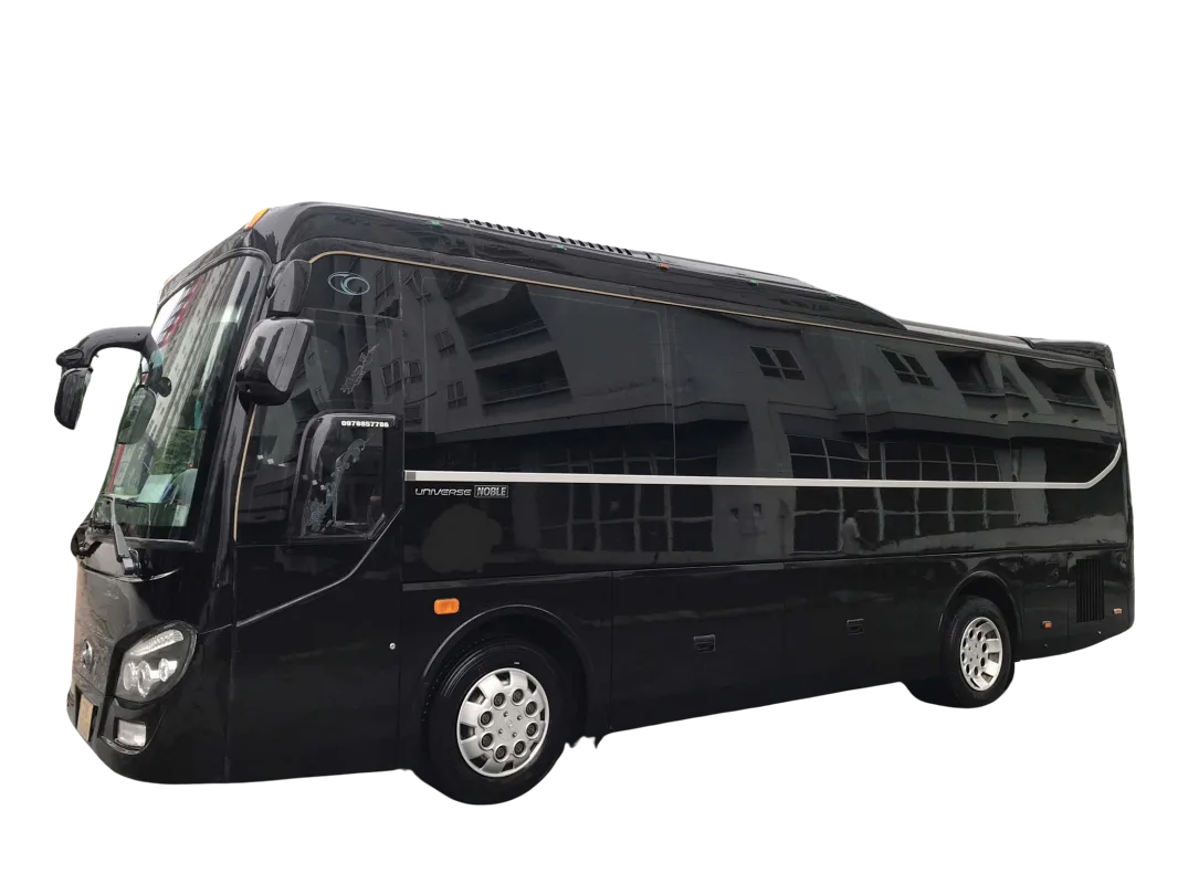 18 Seater Limousine Van