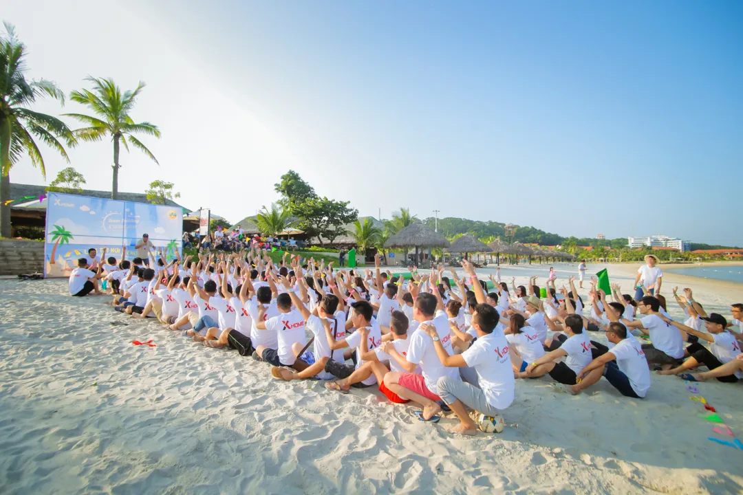 Tại Sao Nên Tổ Chức Teambuilding Tại Hạ Long?