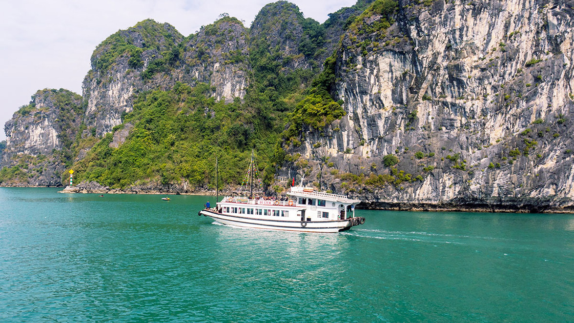 Traditional Cruise (48 guest)