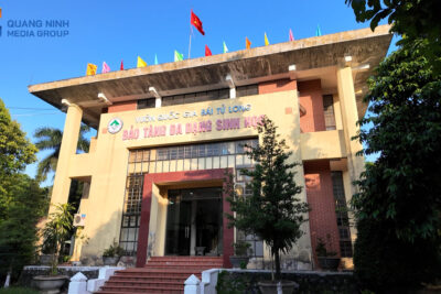 Khám Phá Bảo Tàng Đa Dạng Sinh Học Vườn Quốc Gia Bái Tử Long