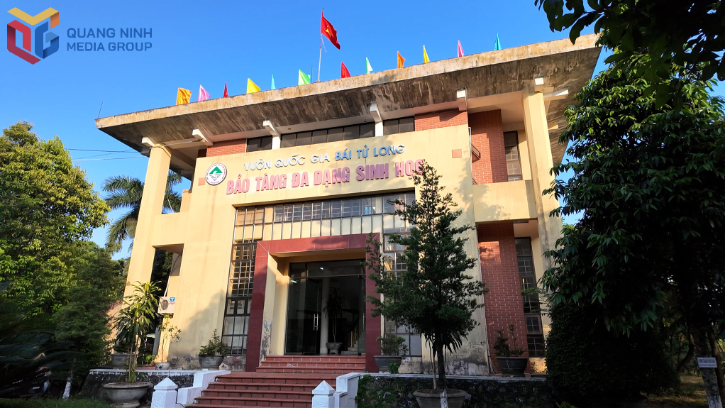 Bảo Tàng Đa Dạng Sinh Học Vườn Quốc Gia Bái Tử Long