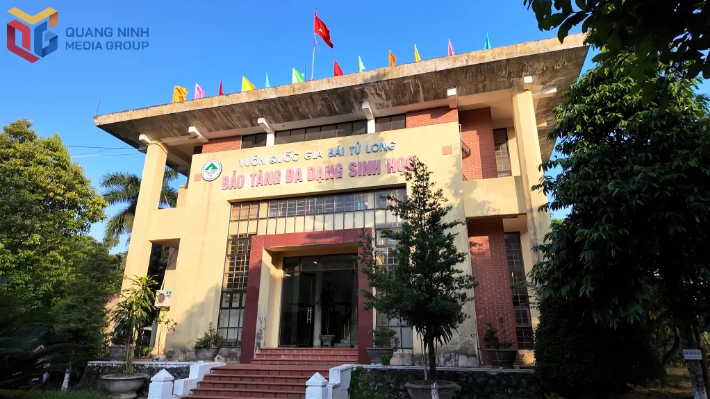 Bảo Tàng Đa Dạng Sinh Học Vườn Quốc Gia Bái Tử Long