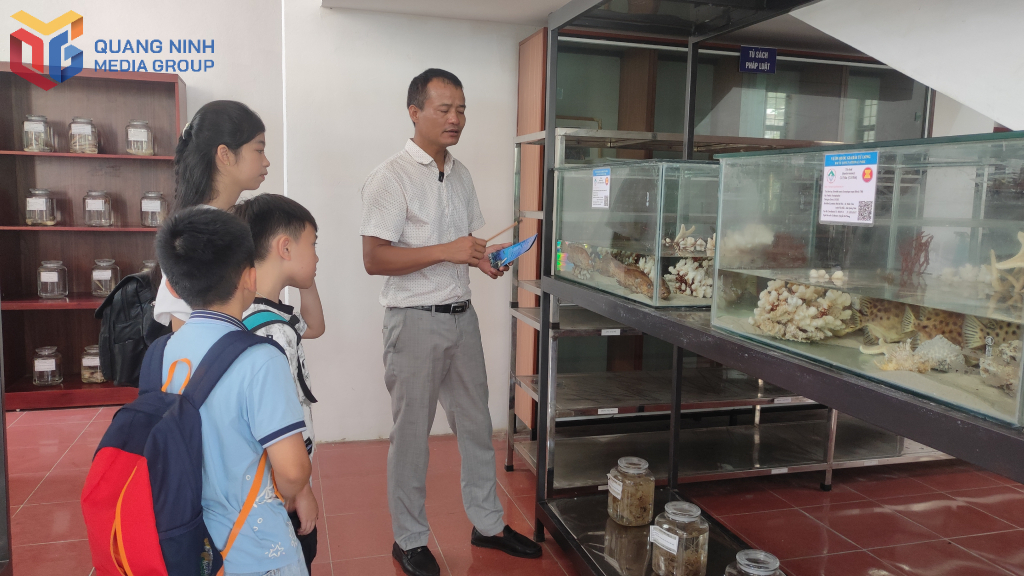 Khu vực trưng bày sinh vật biển do cán bộ Phòng Sinh vật biển và Đất ngập nước của Ban quản lý VQG Bái Tử Long phụ trách và giới thiệu.
