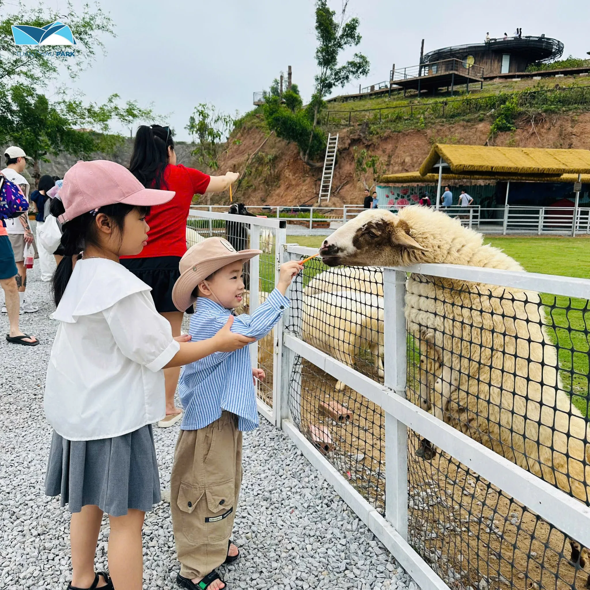 Tuần Châu Farm