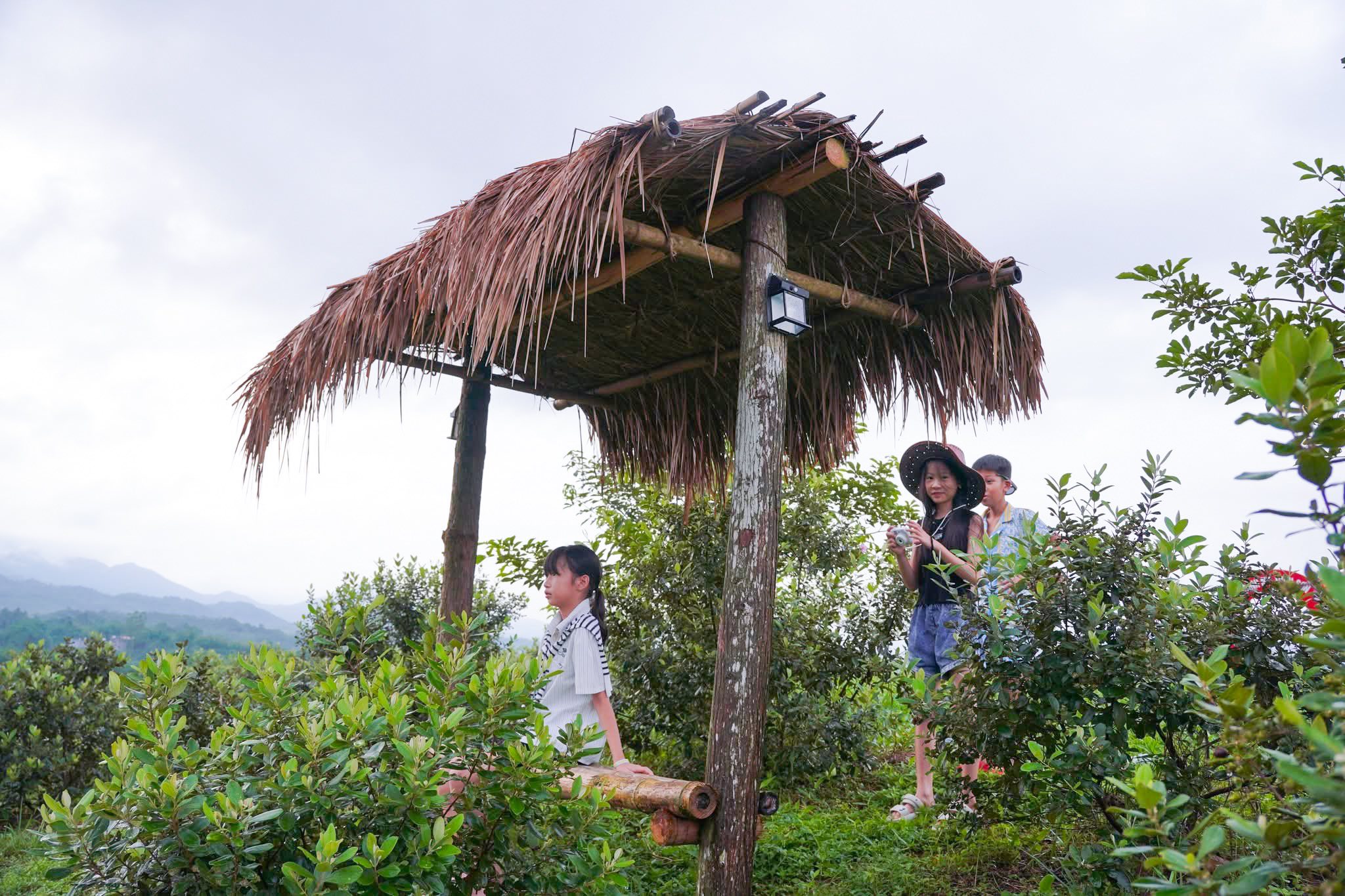 Doi Sim Ma Thau Son Vivuhalong (10)