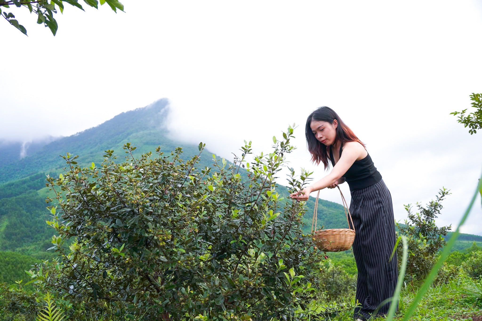 Doi Sim Ma Thau Son Vivuhalong (13)