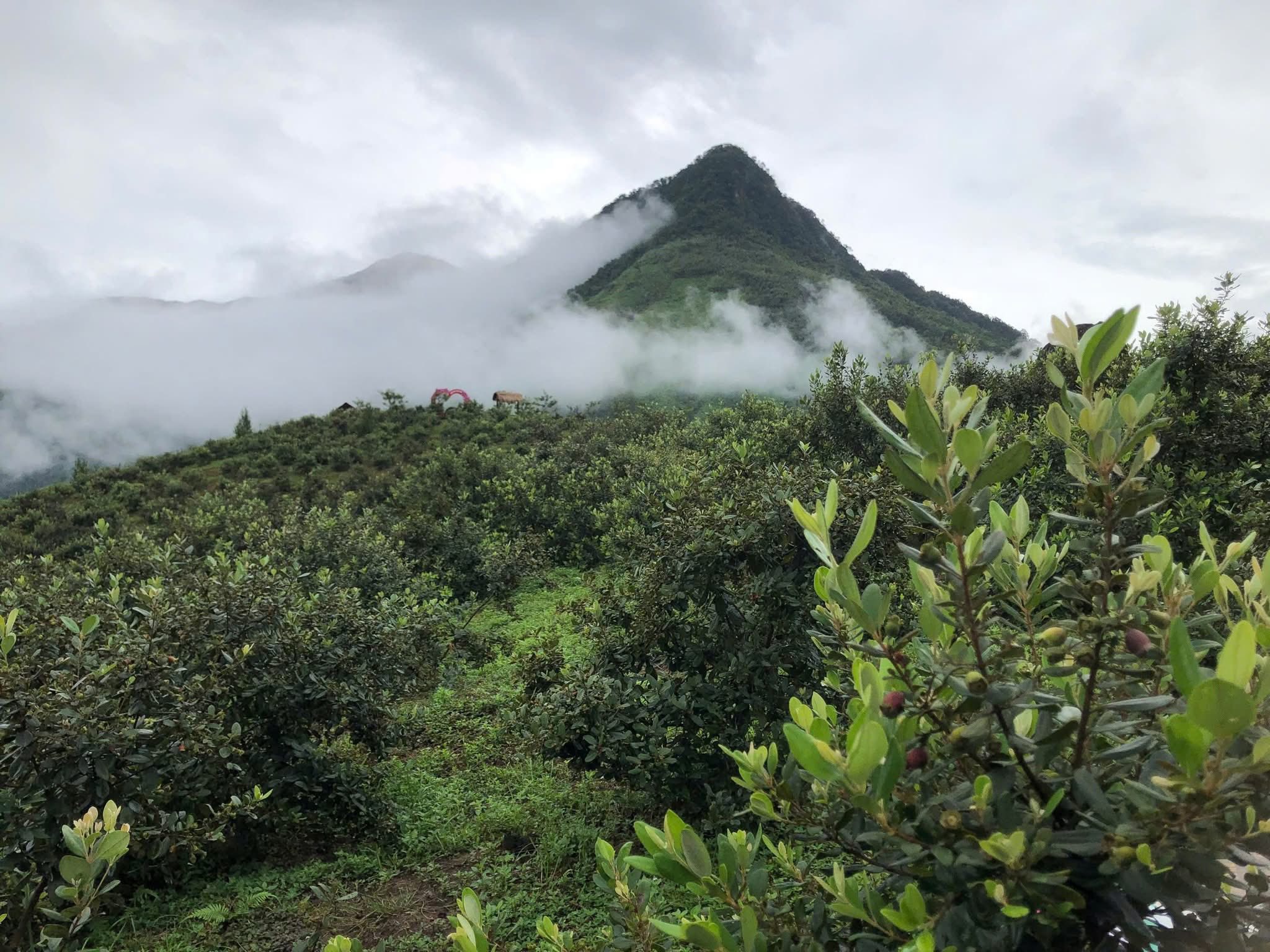 Doi Sim Ma Thau Son Vivuhalong (14)
