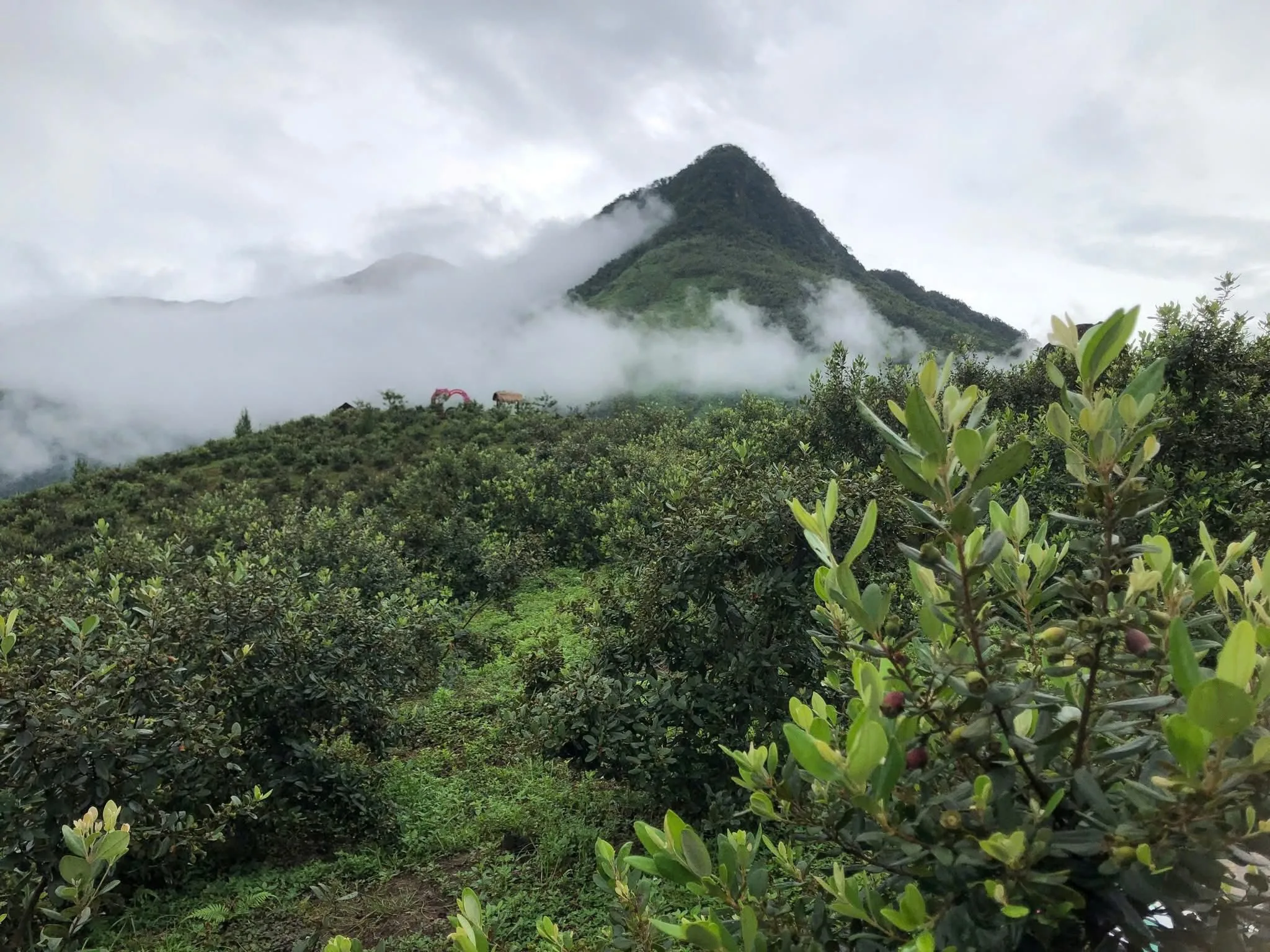 Doi Sim Ma Thau Son Vivuhalong (14)
