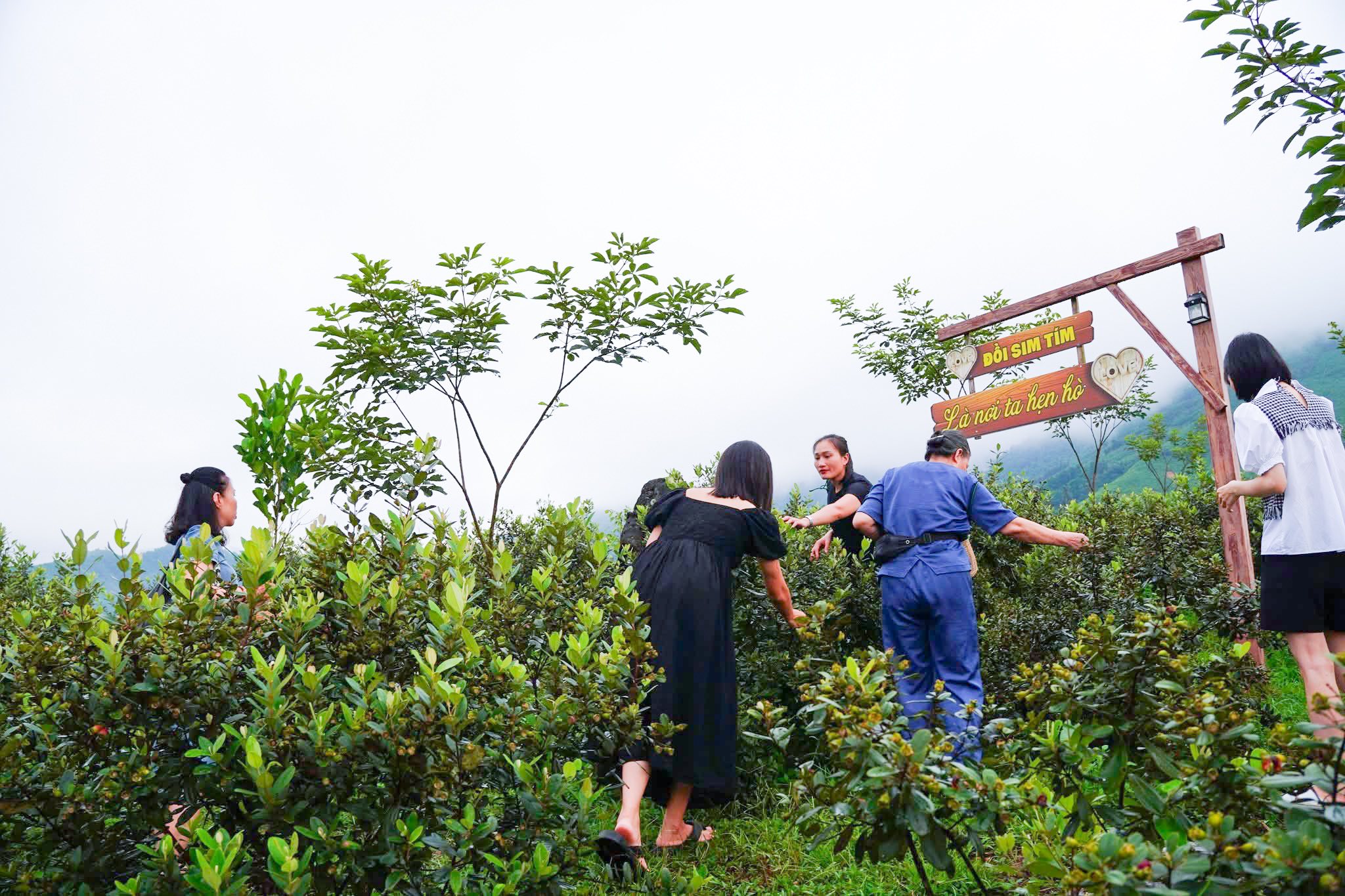 Doi Sim Ma Thau Son Vivuhalong (7)