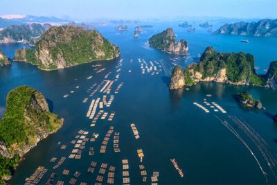 What Kind of Information You Have to Provide When Registering a Ha Long Bay Cruise