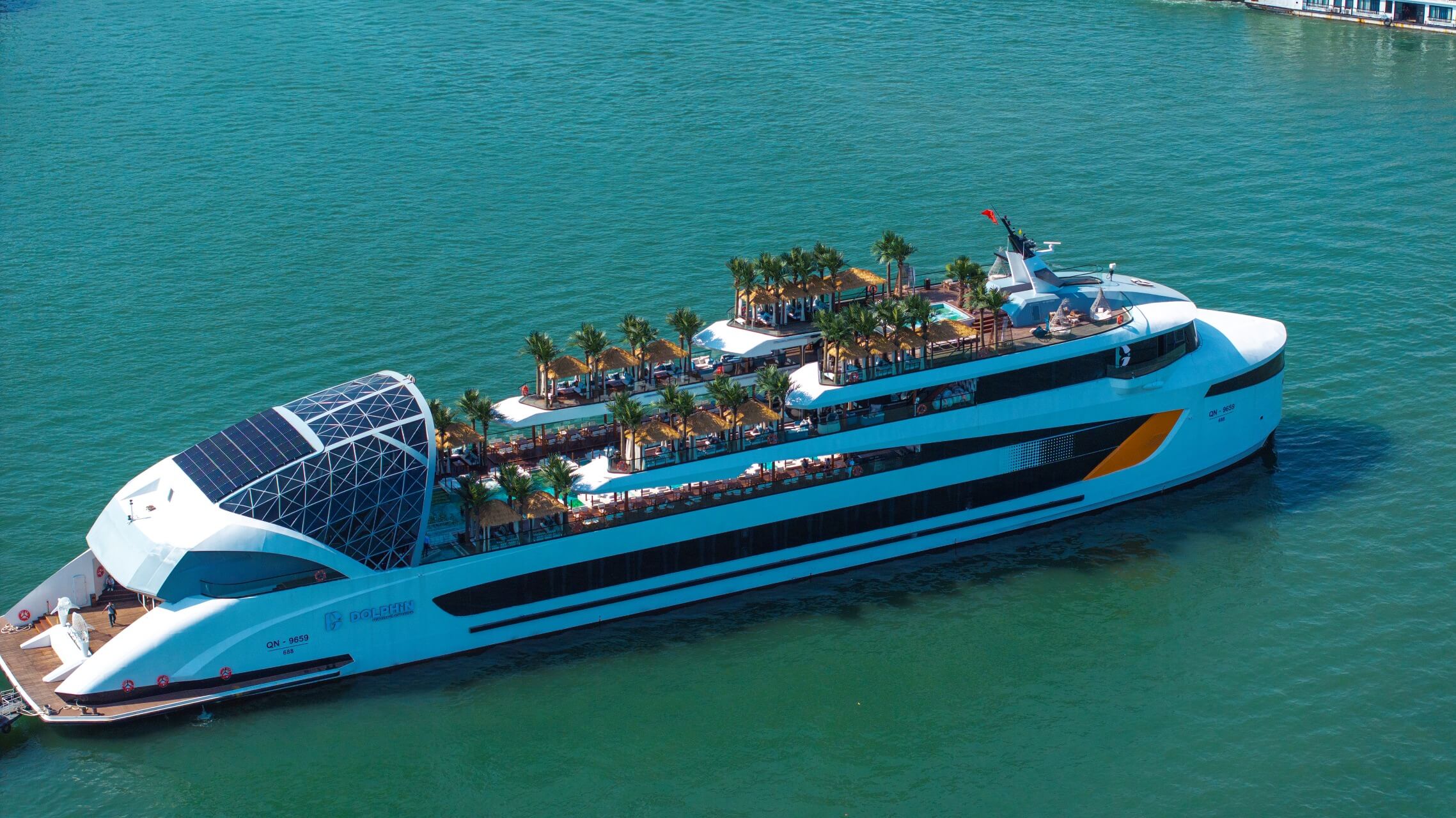 Dophin Cruise Ha Long (10)