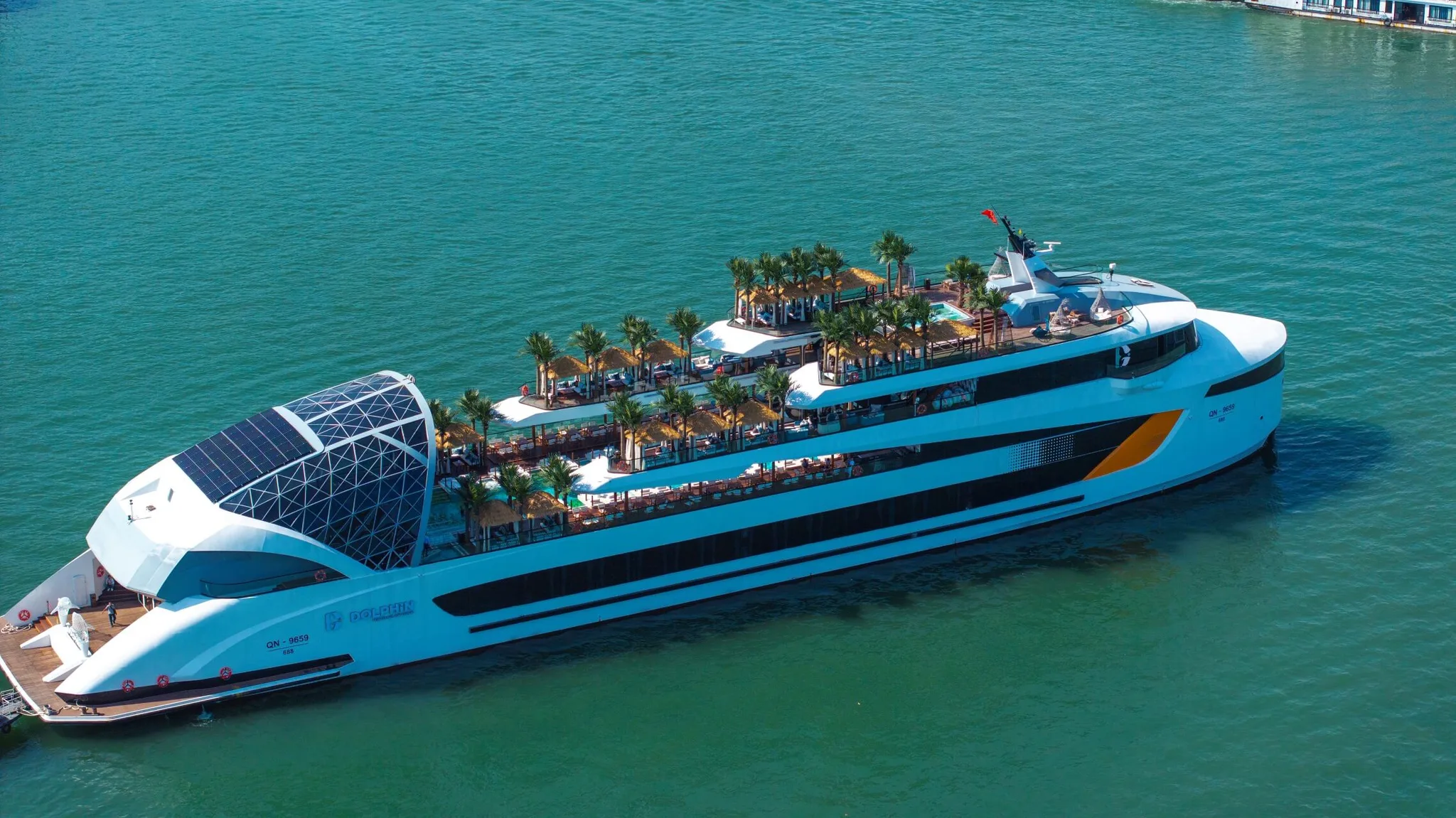 Dophin Cruise Ha Long (10)