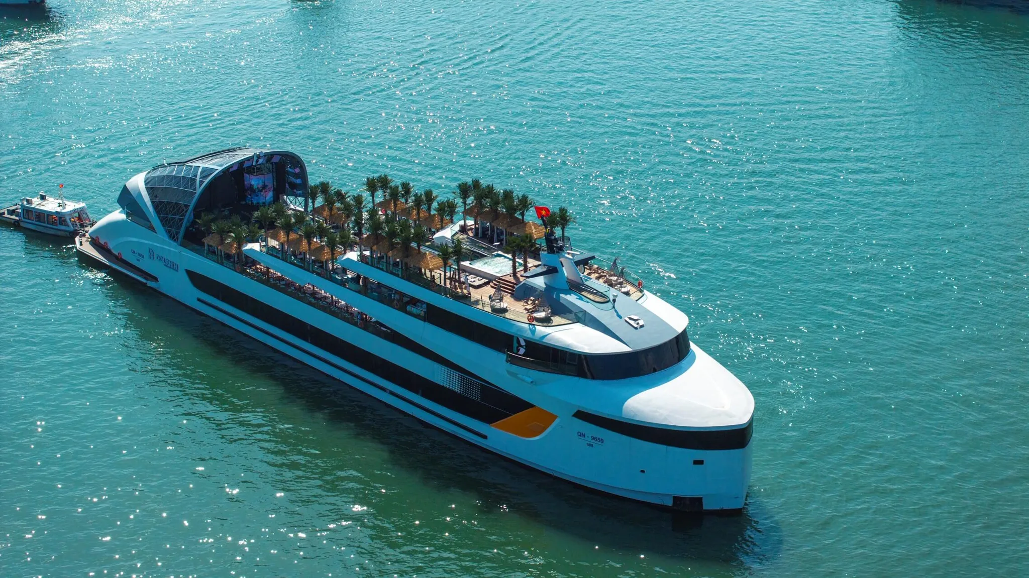 Dophin Cruise Ha Long (2)