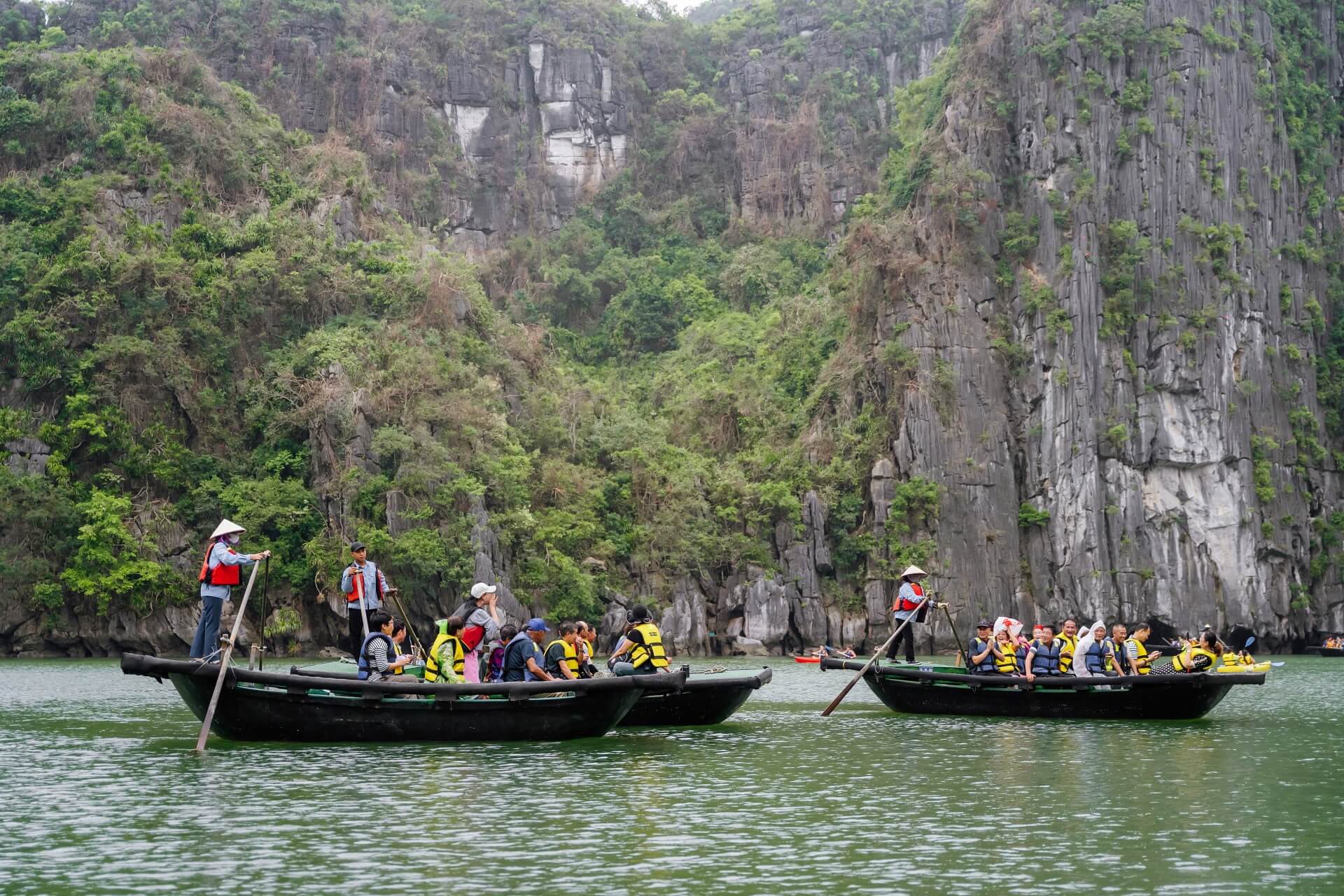 Dophin Cruise Ha Long (3)