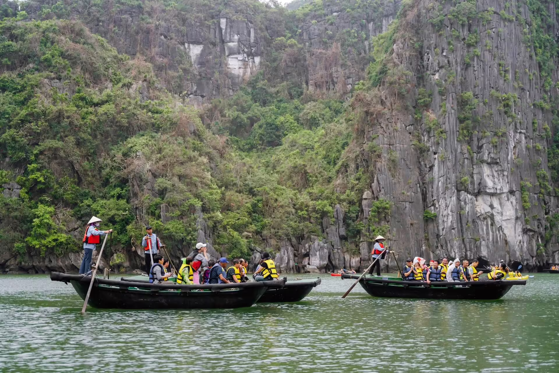 Dophin Cruise Ha Long (3)
