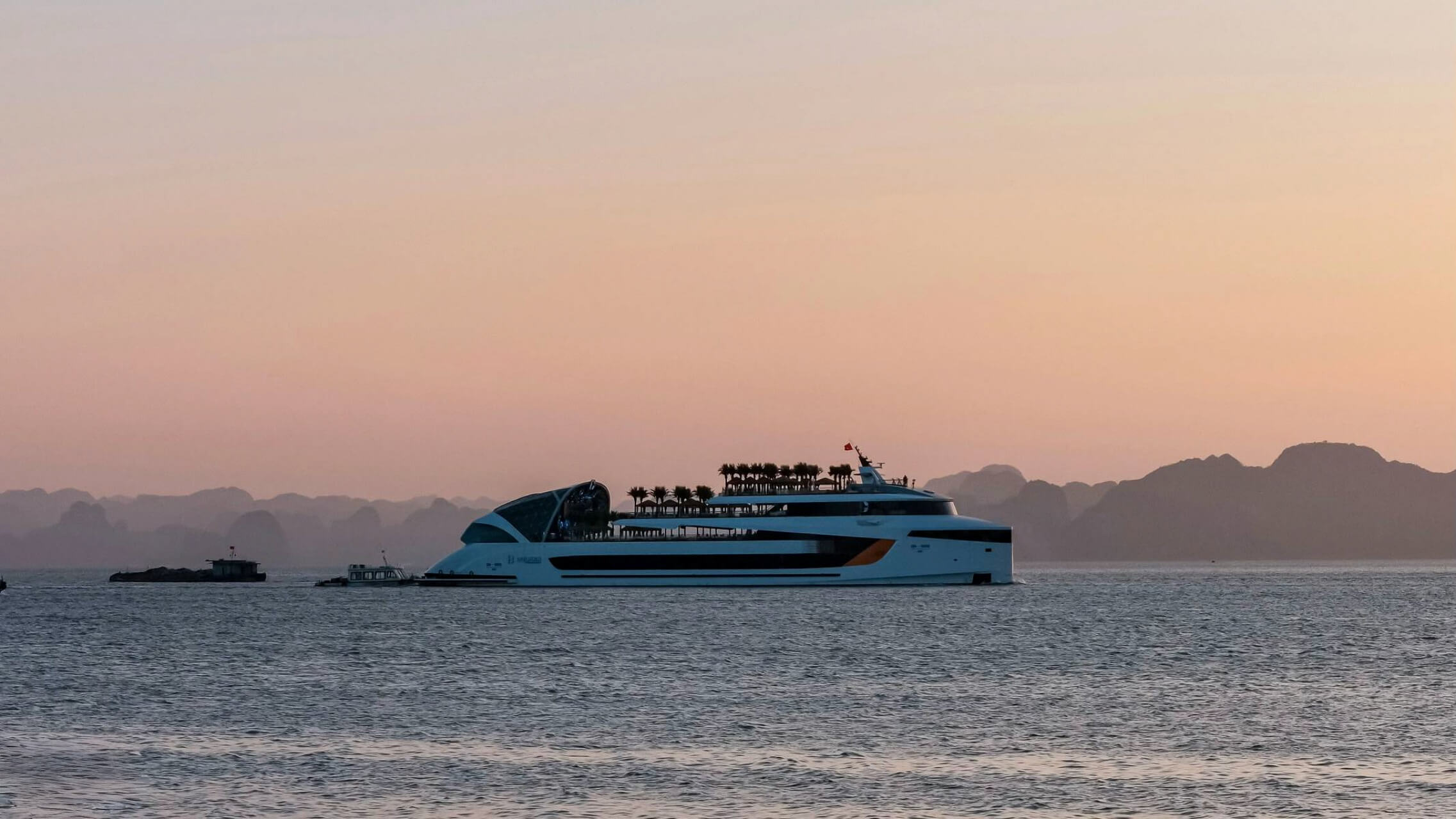 Dophin Cruise Ha Long (9)