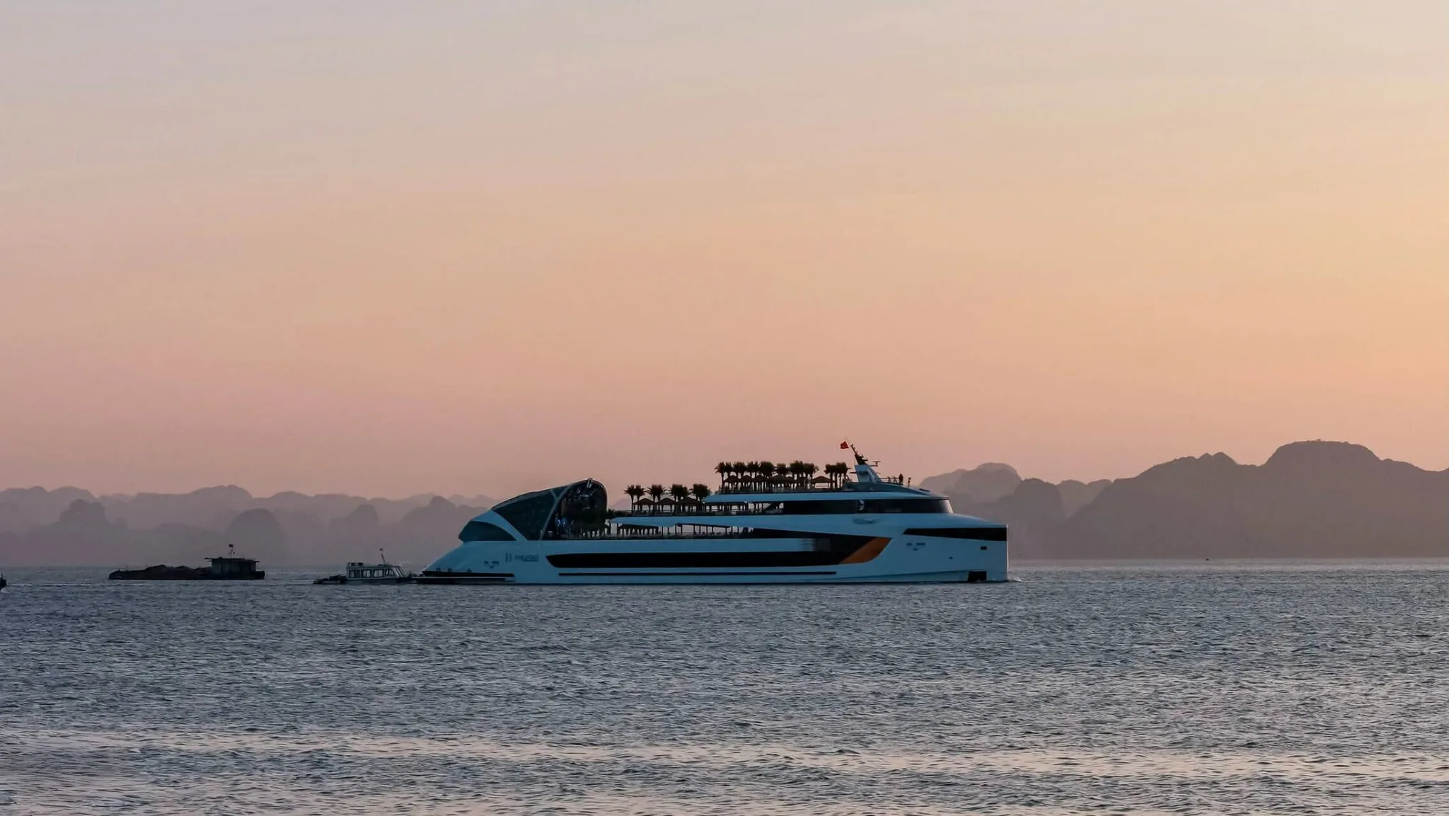 Dophin Cruise Ha Long (9)