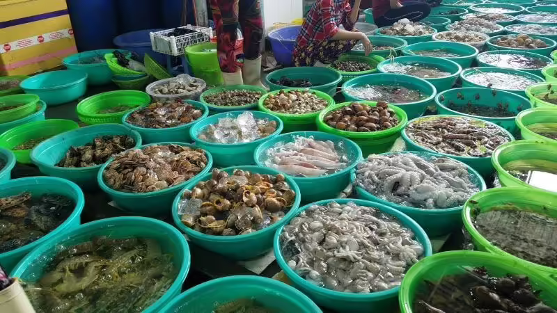 Thưởng Thức Hải Sản Tươi Ngon Tháng 9 tại Cô Tô