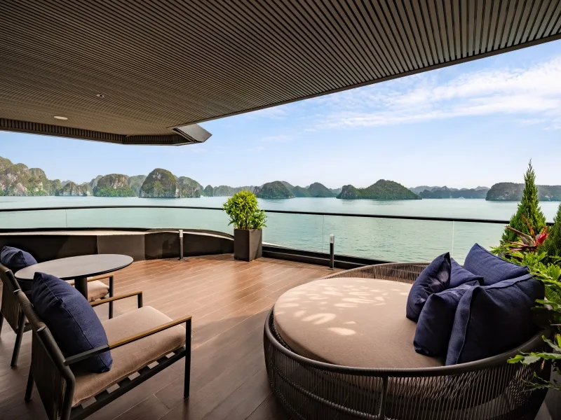 Executive Terrace Suite 4