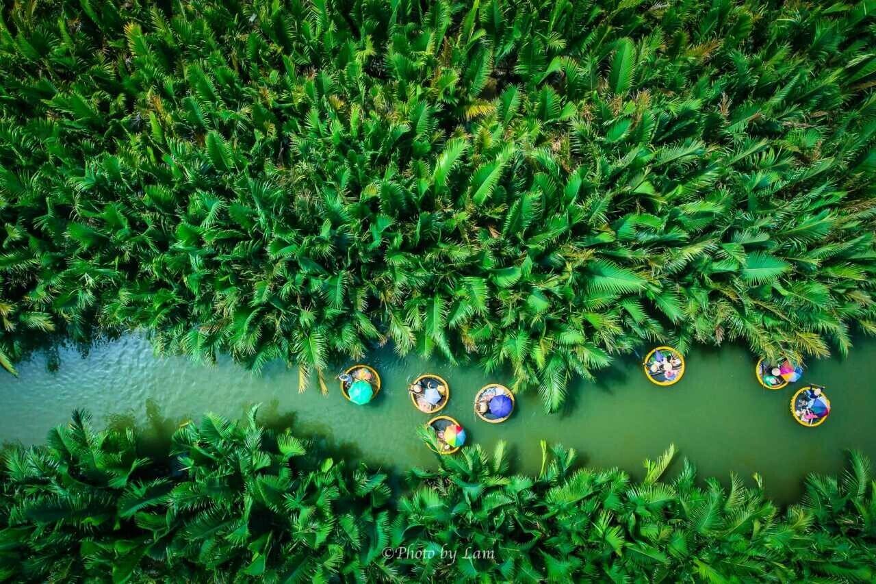 Bay Mau Coconut Forest.
