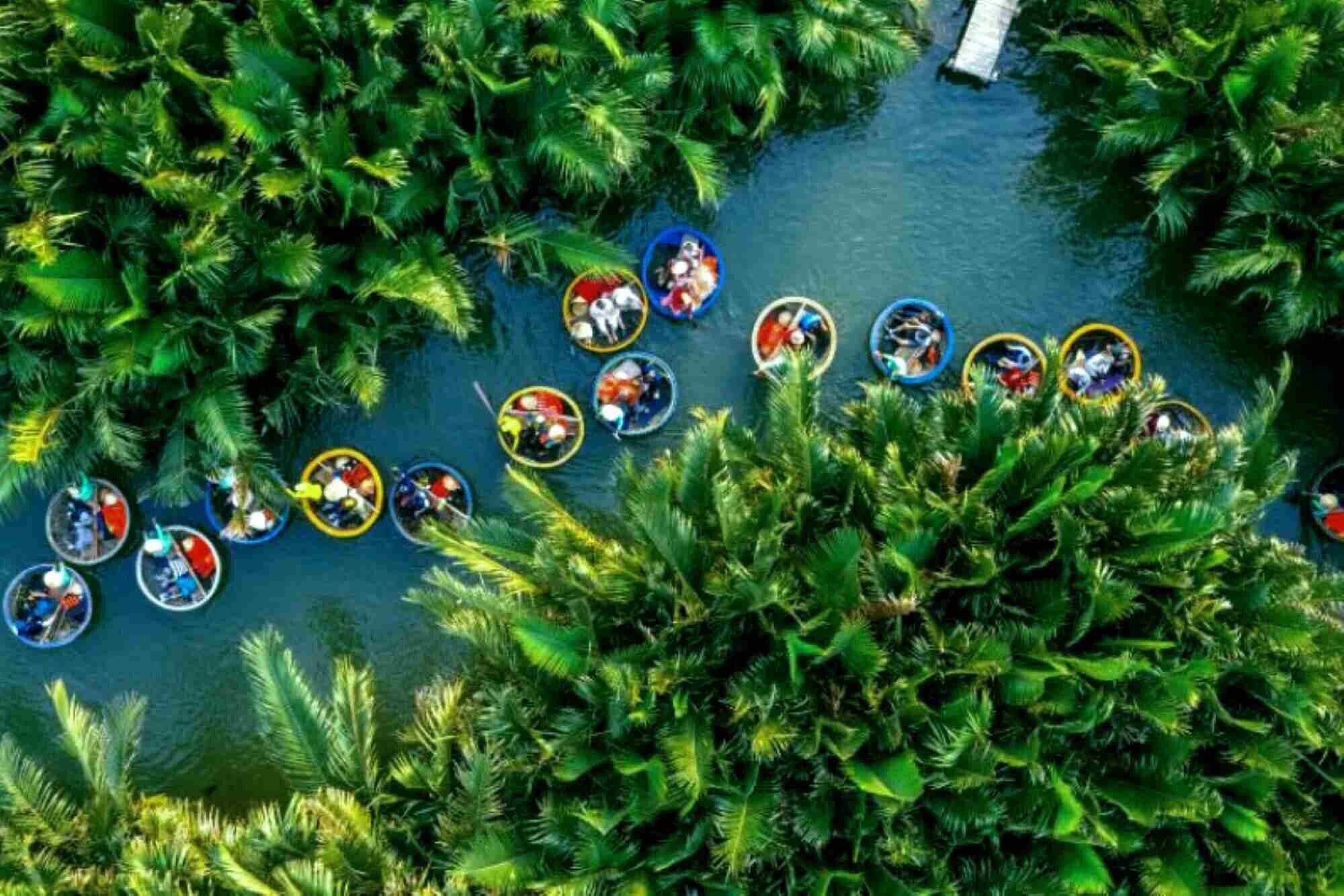 Bay Mau Coconut Forest.