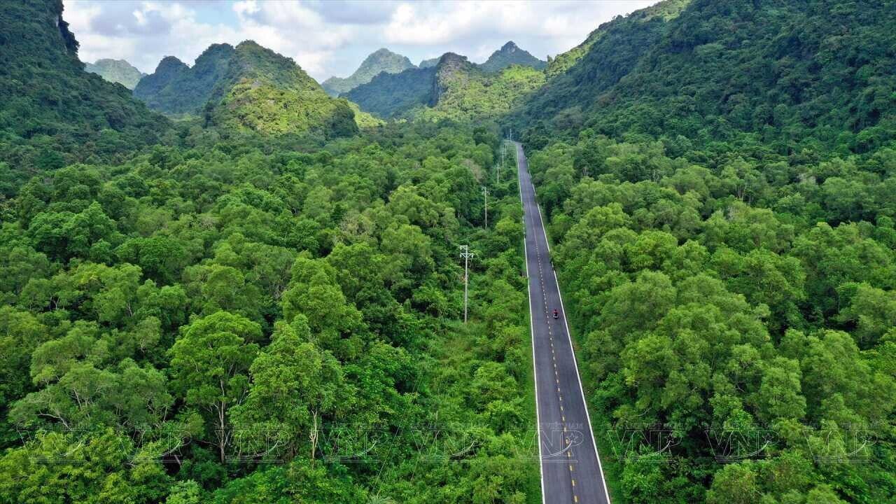 Cat Ba National Park.