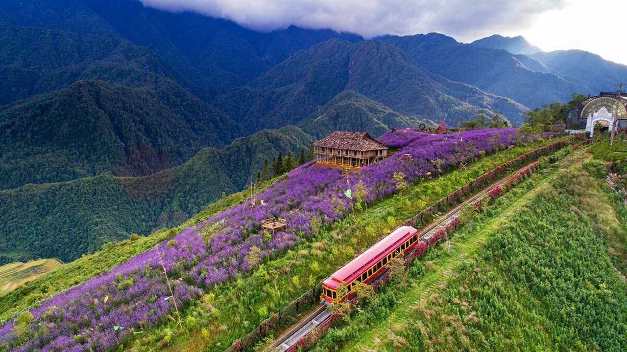 The Lush Green Muong Hoa Valley.